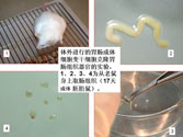 非凡国际·(中国游)体育官方网站