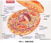 非凡国际·(中国游)体育官方网站
